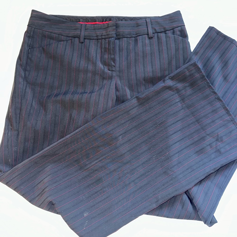 Express lined pants.